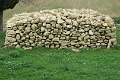 Albanien_0129