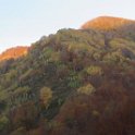 IMG_1214