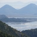 IMG_1444