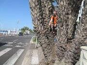 Nizza_019