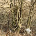 IMG_2206