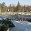 IMG_2224