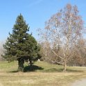 IMG_2547