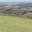 IMG_2576