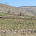 IMG_2635