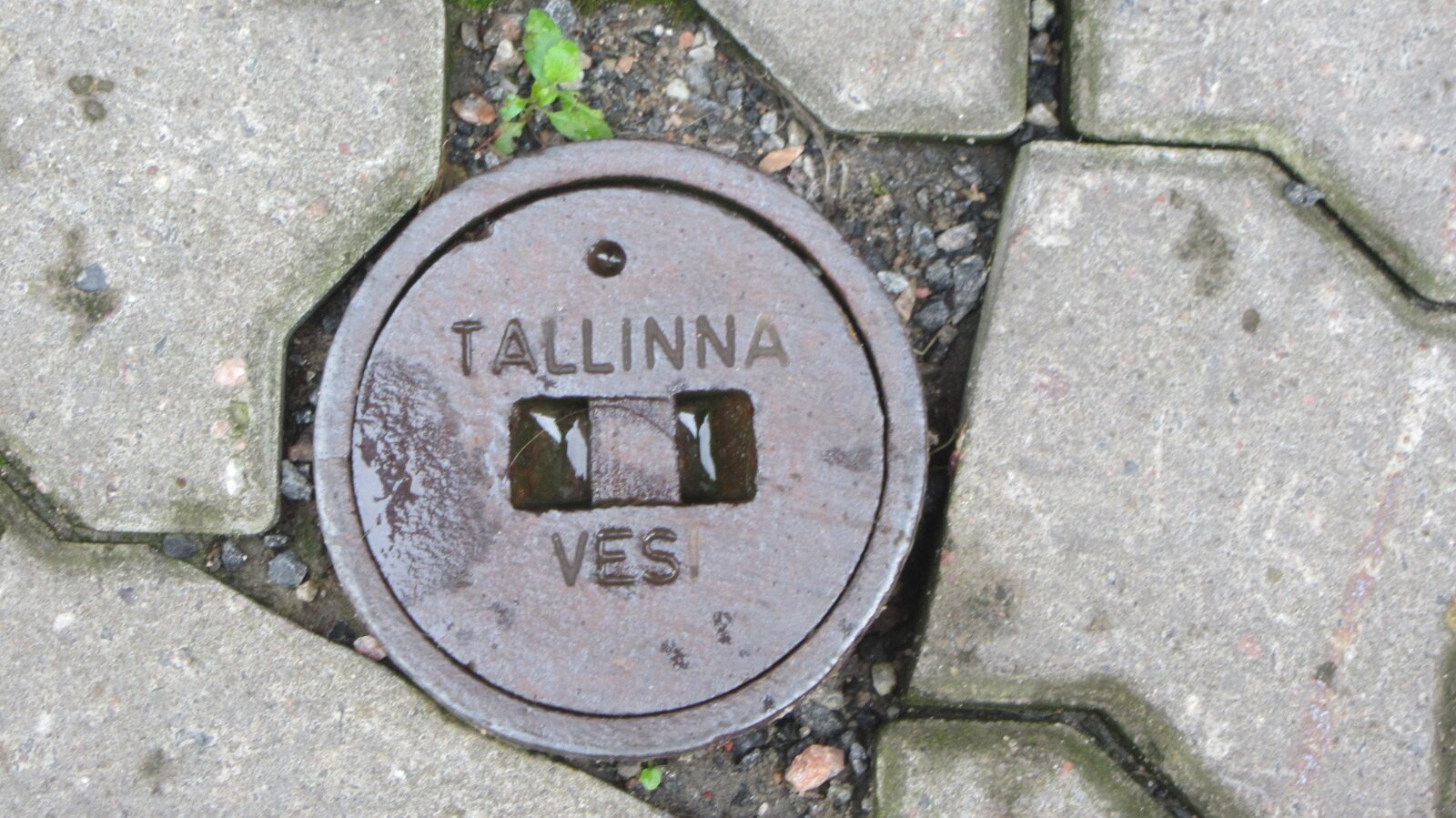 Tallinna