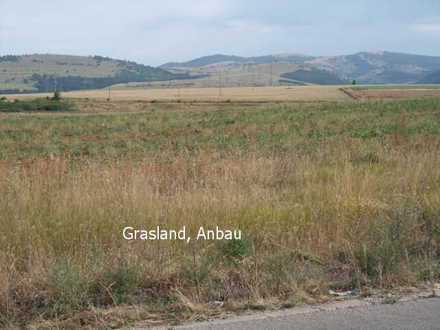 bg2008_049