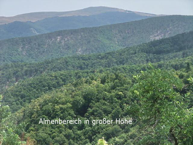 bg2008_070