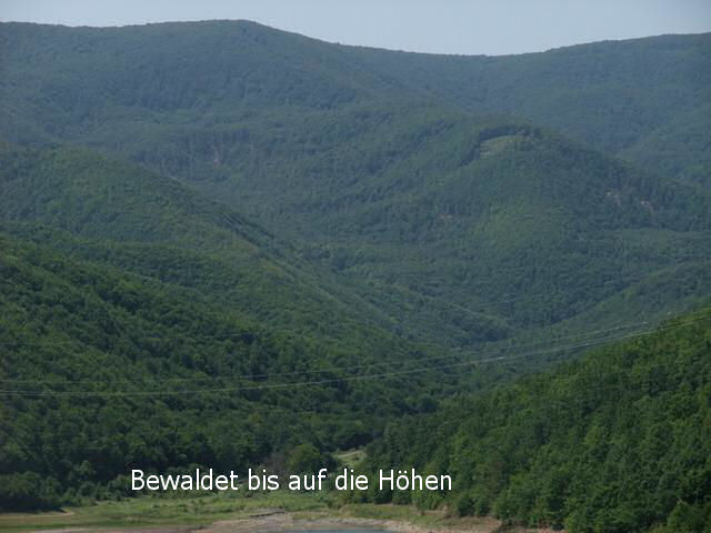 bg2008_074