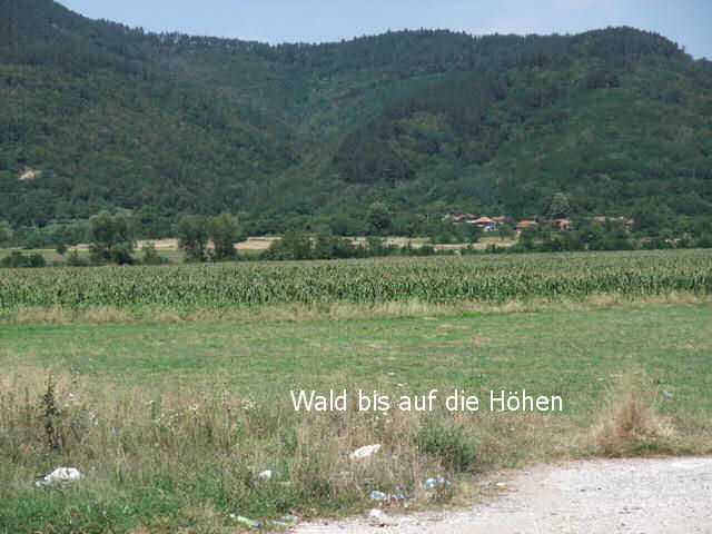 bg2008_078
