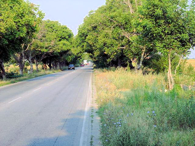 bg2008_320