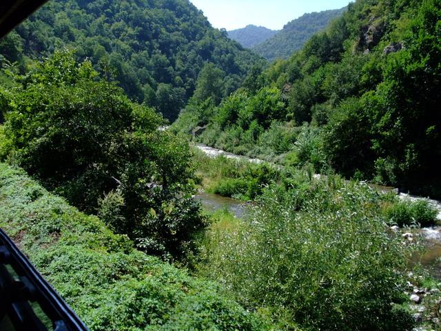bg2008_334