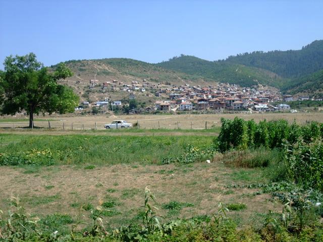 bg2008_340