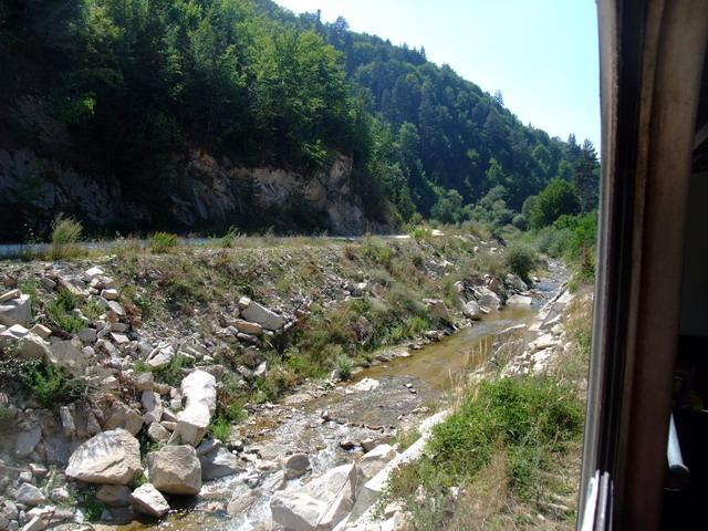 bg2008_341