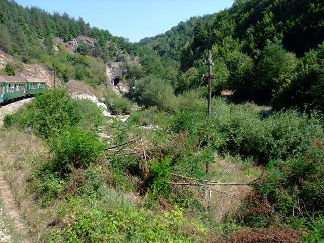 bg2008_342