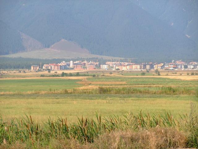 bg2008_381