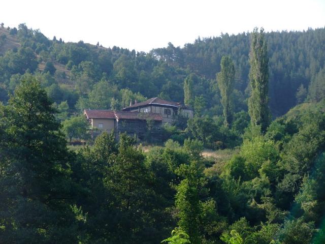 bg2008_388