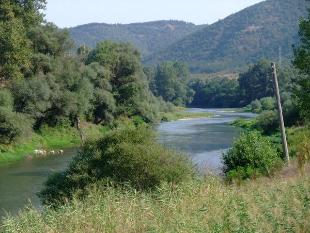 bg2008_393