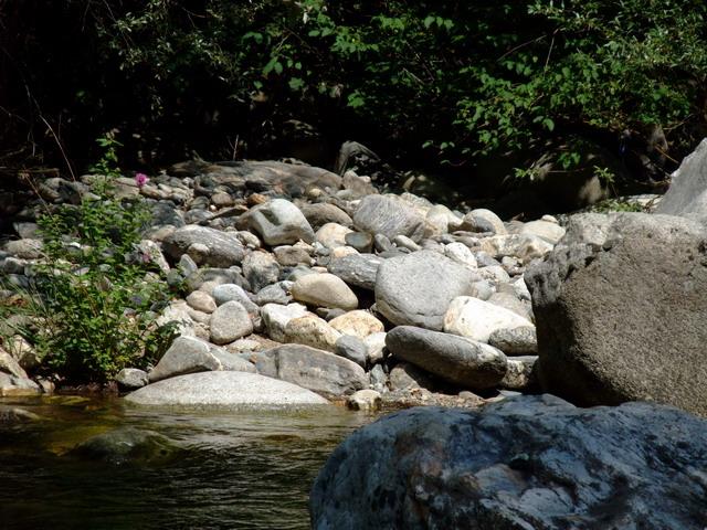 bg2008_408