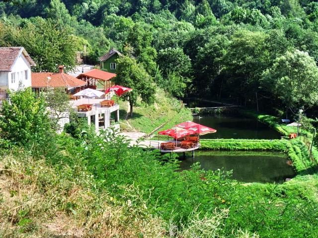 bg2008_412