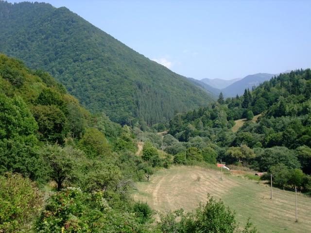 bg2008_413