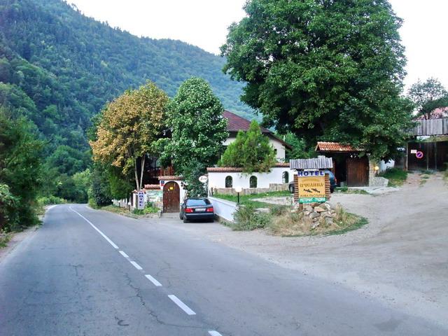 bg2008_425