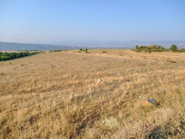bg2008_427