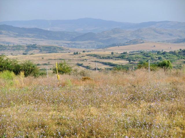 bg2008_437