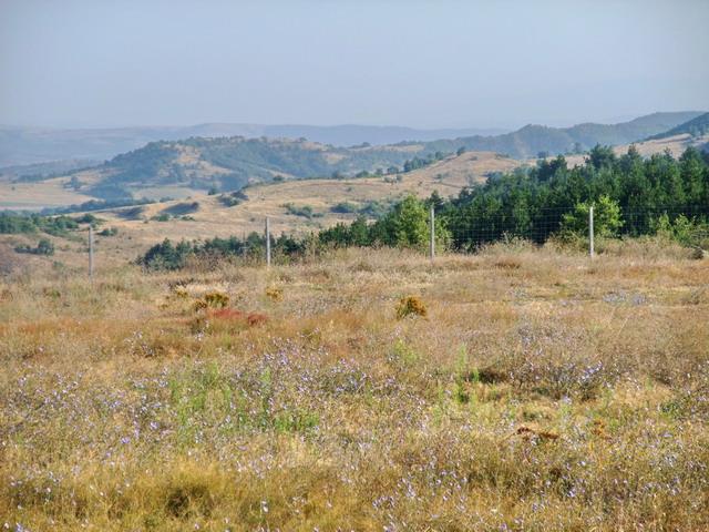 bg2008_438