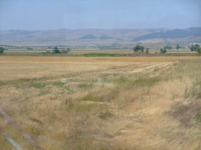bg2008_446