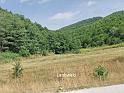 bg2008_066