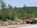 bg2008_068