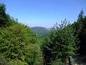 bg2008_347