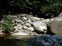 bg2008_408