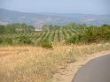 bg2008_428