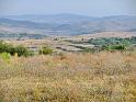 bg2008_437