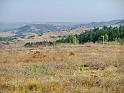 bg2008_438