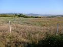 bg2008_439