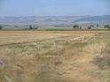 bg2008_446