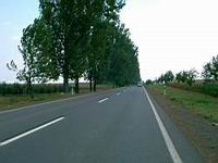 Geradeaus nach Niregyhaza