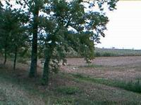 Schau dir den Gegenwind an!