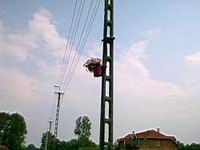 Ein Versuch die Betonstrommasten zu verschönern.