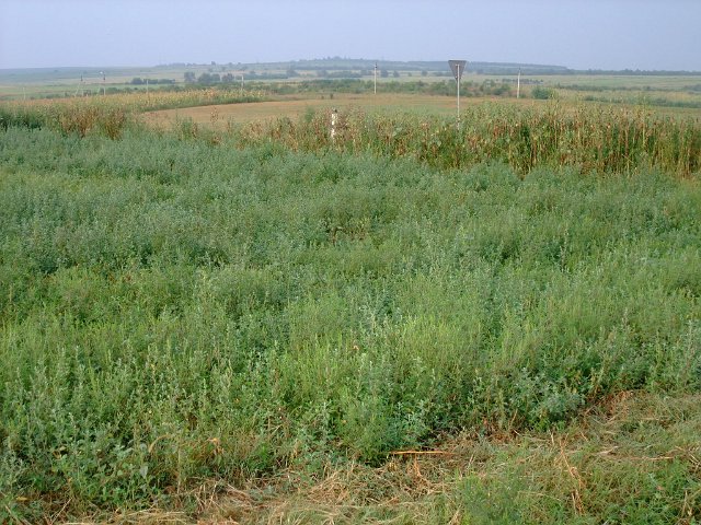 ua2010_052