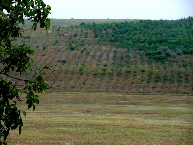 ua2010_062