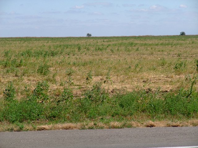 ua2010_201