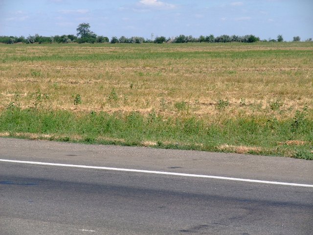 ua2010_202