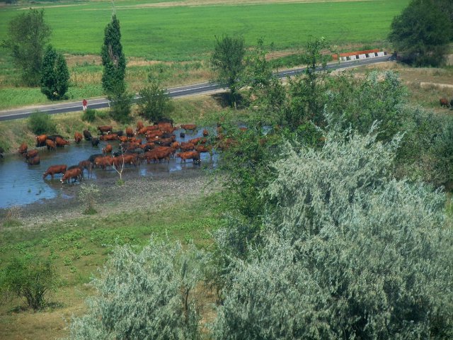 ua2010_217