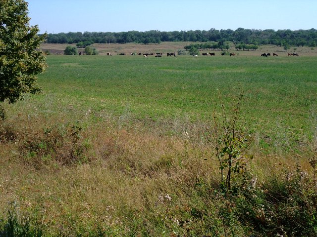 ua2010_228