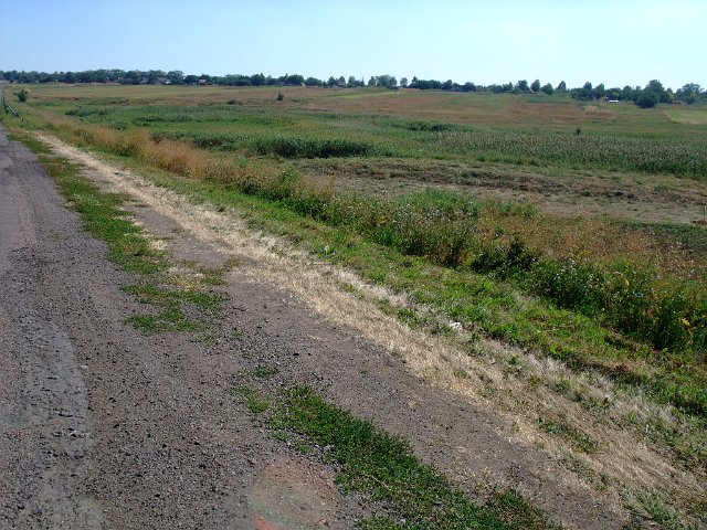 ua2010_229