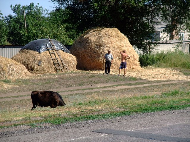 ua2010_230